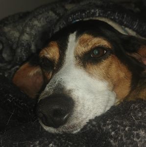 Meet your Posher, Ethan